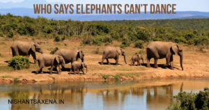Who says Elephants can't dance